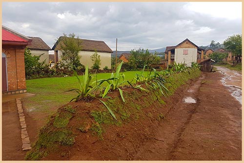 The ecological fence